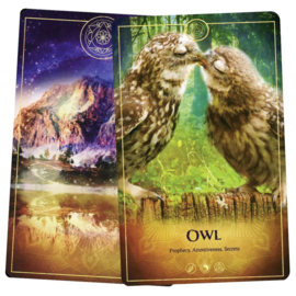 The ARK Animal Tarot & Oracle Deck (expansion pack) - Bernadette King