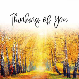 Thinking of you - Uit het Hart