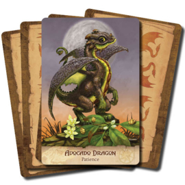 Field Guide to Garden Dragons - Arwen Lynch