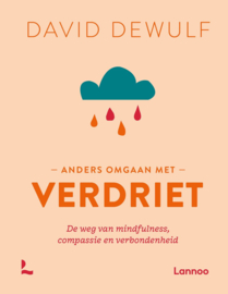 Anders omgaan met verdriet - David Dewulf