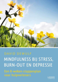 Boek - Mindfulness Bij Stress, Burn-out en Depressie - David Dewulf