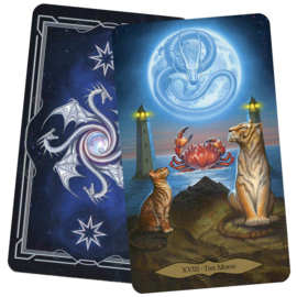 Tarot of Dragons set - Shawn MacKenzie