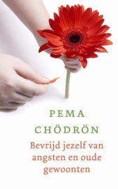 Bevrijd jezelf van angsten en oude gewoonten - Pema Chodron