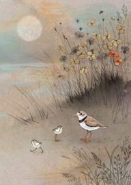 D196 Plover Family - Bug Art
