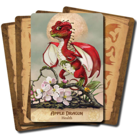 Field Guide to Garden Dragons - Arwen Lynch