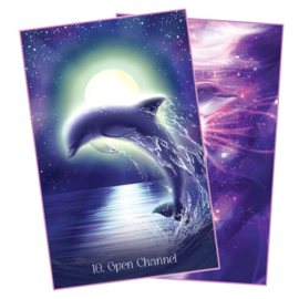 Whispers of the Dolphin Heart - Angela Heartfield
