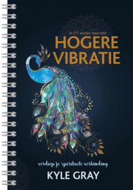 In 111 sessies naar een Hogere Vibratie - Kyle Gray