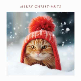 Kerst Tracks