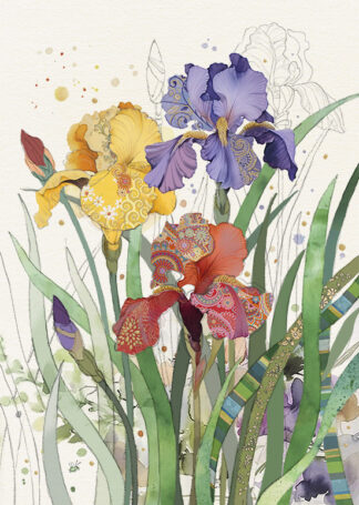 B061 Mixed Irises - BugArt