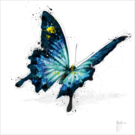 IGP9640 Patrice Murciano kaart - POPillon Blue