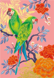 AB2209 - Clare Maddicott Parrot