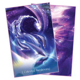 Whispers of the Dolphin Heart - Angela Heartfield