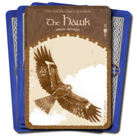 Wisdom of Avalon Oracle Cards - Colette Baron-Reid