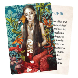 Medicine Heart Oracle - Alana Fairchild - Pocket