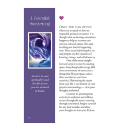 Whispers of the Dolphin Heart - Angela Heartfield