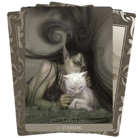 Fantasy Cats Oracle