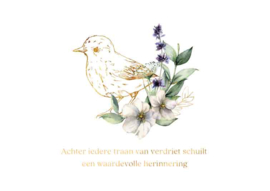 SOL036 - Achter iedere traan van verdriet - Solace