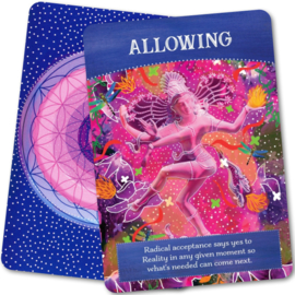 Divine Abundance Oracle Cards - Tosha Silver