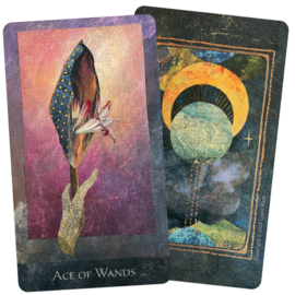 The Rain Shadow Tarot - Claire Mack