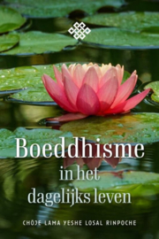 Boeddhisme in het dagelijks leven - Chöje Lama Yeshe Losal Rinpoche