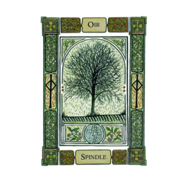 The Celtic Tree Oracle - Liz and Colin Murray