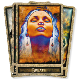 Shaman's Path Message Cards