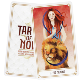Tarot of Now Set (NL) - Ton Peters