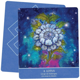 Auspicious Symbols for Luck and Healing Oracle Deck - Alison DeNicola