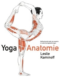 Yoga Anatomie