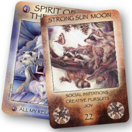 Spirit of the Wheel Meditation Deck - Jody Bergsma