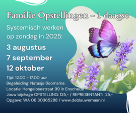 Zondag 12 oktober 2025 - Familie opstellingen / Representant