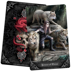 Gothic Oracle - Anne Stokes, Steven Bright