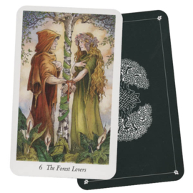 Wildwood Tarot - John Matthews