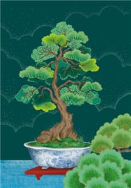 AB2211 - Clare Maddicott Bonsai