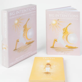 Big Intentions Box Set - Erin Lee