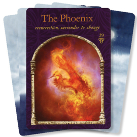 Wisdom of the Hidden Realms Oracle Cards