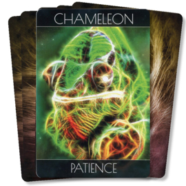 Spirit Animal Oracle