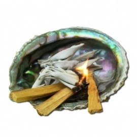 Palo Santo - Heilig hout - 50 gram