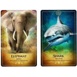 The ARK Animal Tarot & Oracle Deck - Bernadette King