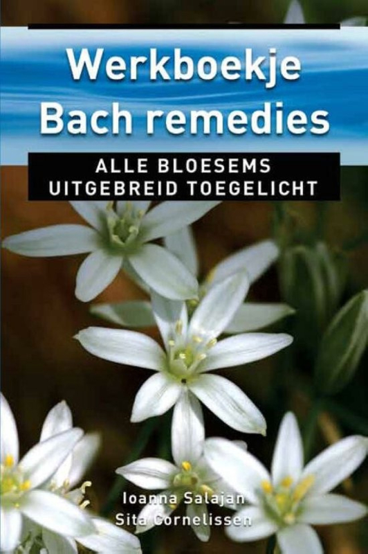 Werkboekje Bach remedies (Ankertjes 83)