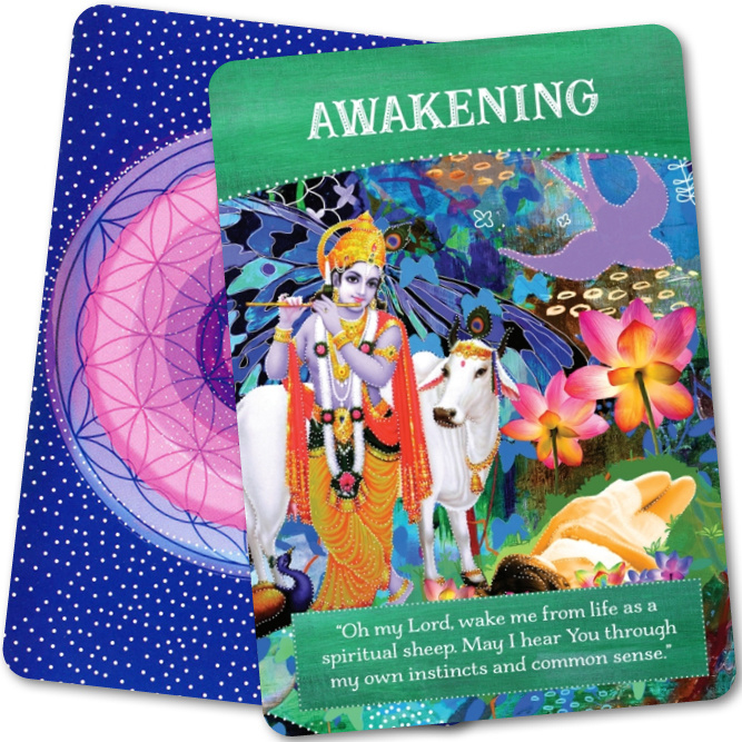 Divine Abundance Oracle Cards