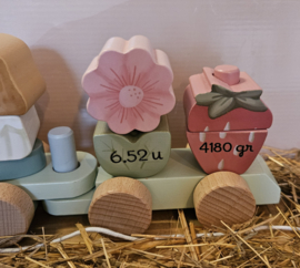 Little Dutch Fairy Garden blokkentrein EGEL met geboortegegevens