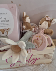 Little Dutch Fairy Garden HERTJE  C cadeaupakket met naam
