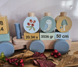 Little Dutch Forest Friends  blokkentrein met geboortegegevens