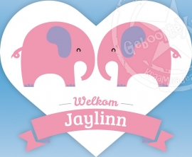 Geboorte Raamsticker olifantjes - meisje