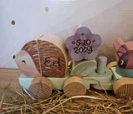 Little Dutch Fairy Garden blokkentrein EGEL met geboortegegevens