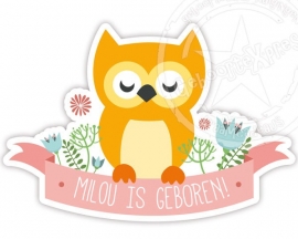 Raamsticker geboorte met uiltje voor een meisje.