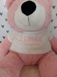 Knuffel beer roze met of zonder naam en hartje