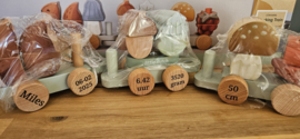 Little Dutch Forest Friends  blokkentrein EEKHOORN met geboortegegevens