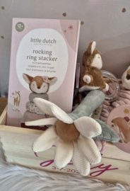 Little Dutch Fairy Garden HERTJE  C cadeaupakket met naam